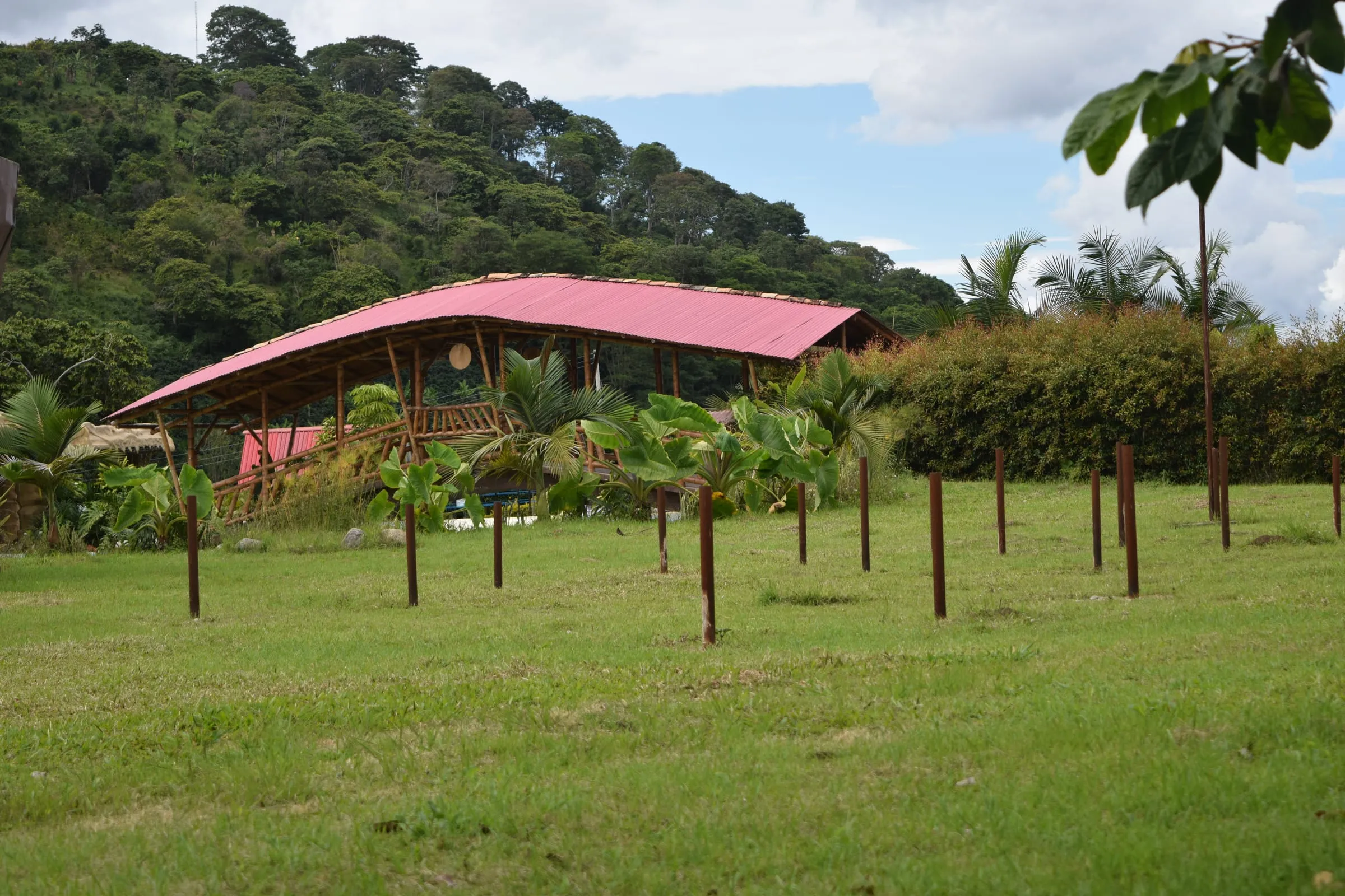 Puente Sumak — obra en guadua