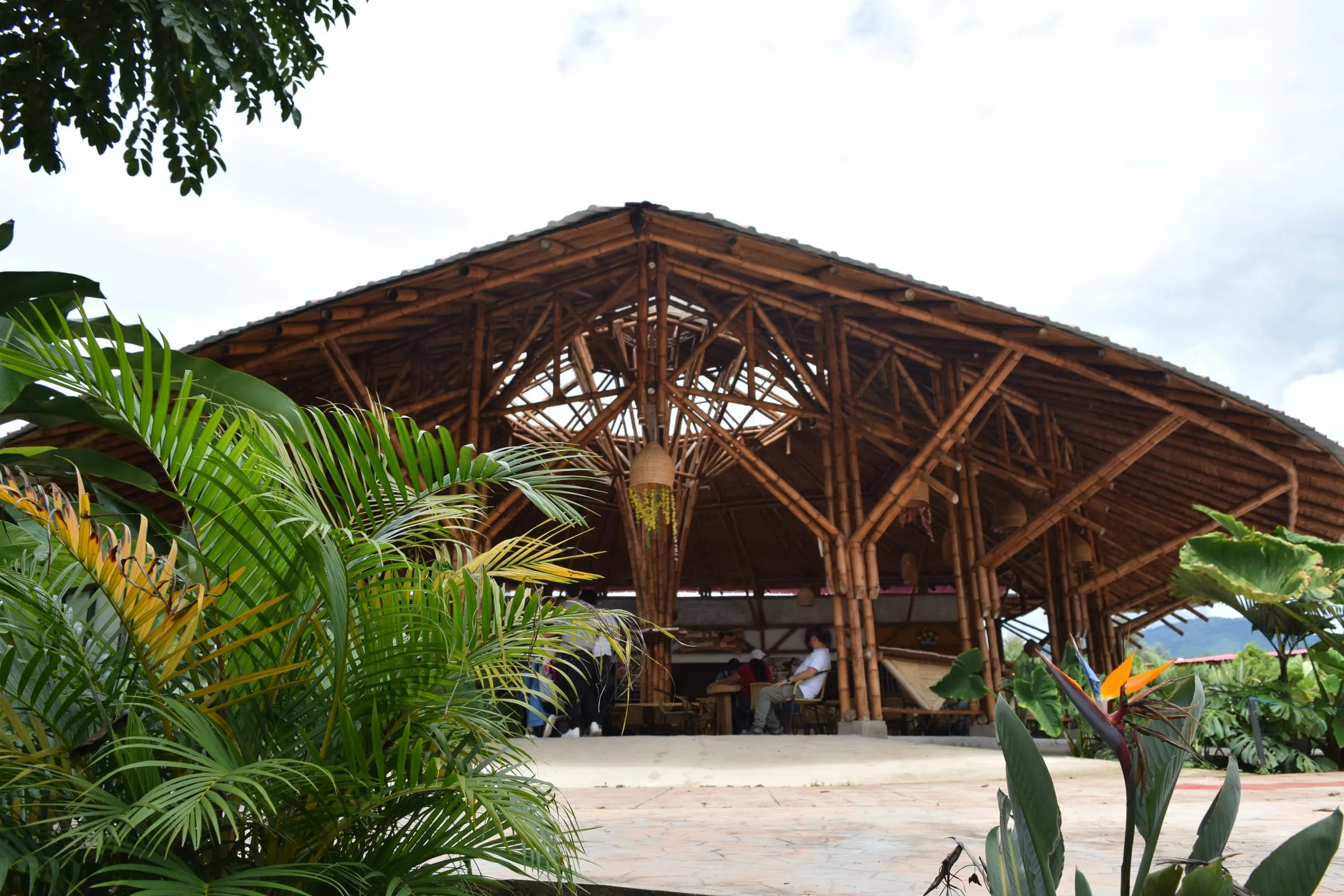 Restaurante Sumak — obra en guadua